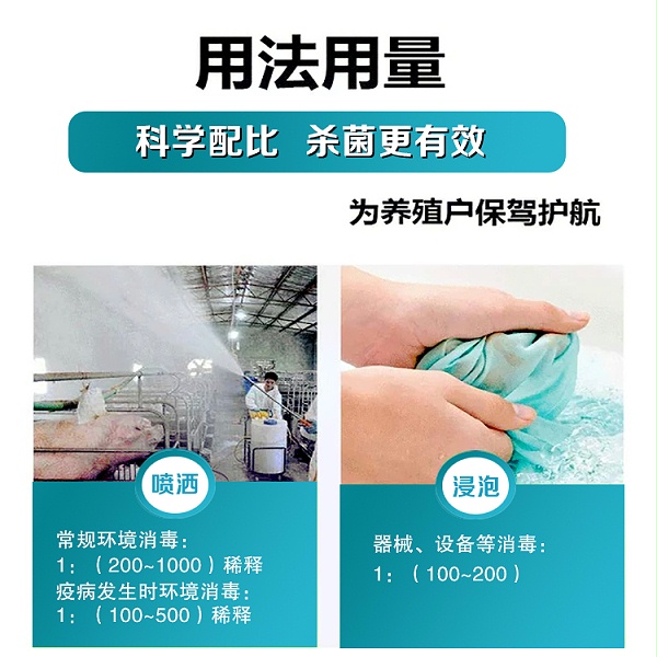 b_5503306202009241019045341