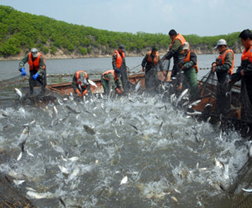 畜牧水產養殖業