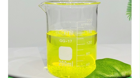 二氧化氯消毒劑對柿餅汙染黴菌的實用控製