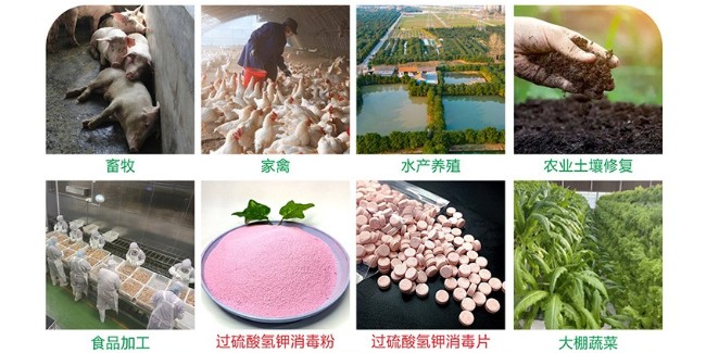 深耕匠心製劑，賦能綠色未來——開封恩科生物，單過硫酸氫鉀實力生產廠家